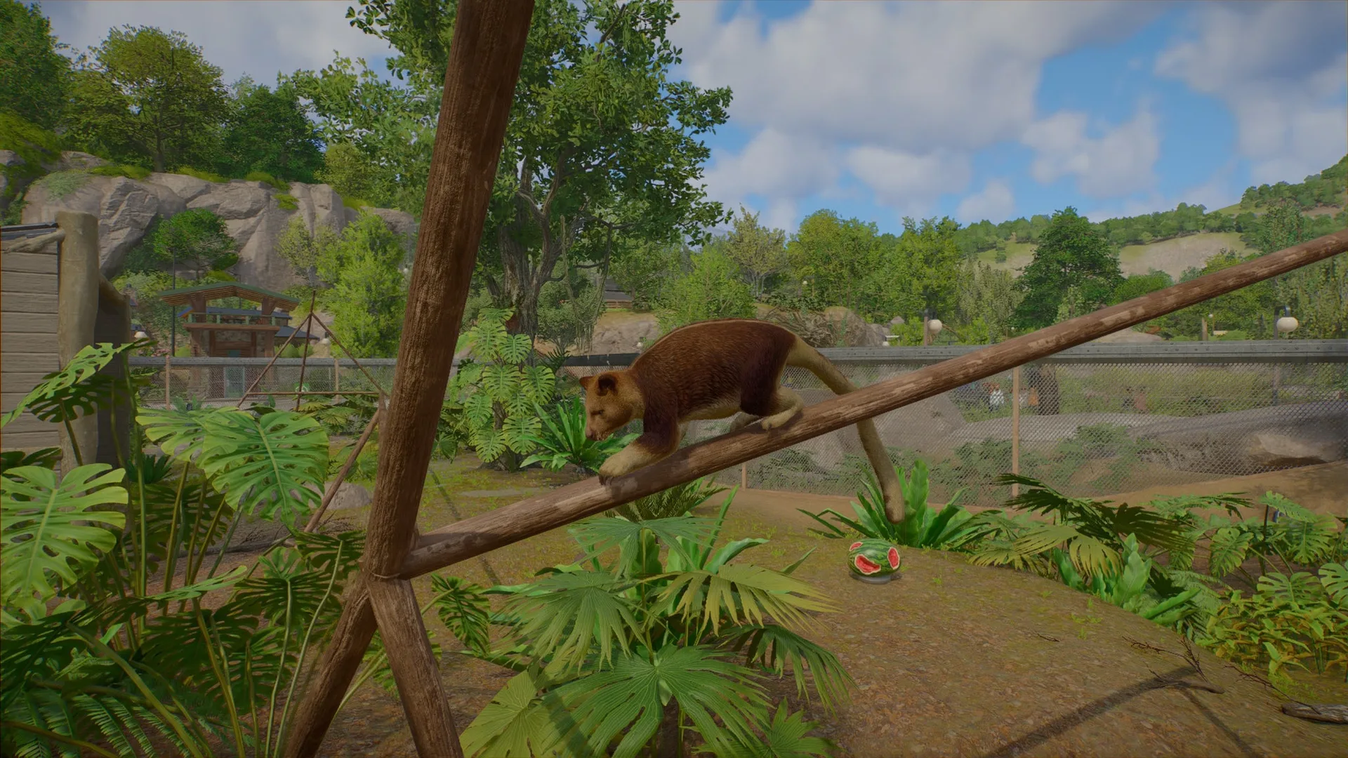 Planet Zoo 2 متاحة الآن للحاسب والمنصات المنزلية مع أحواض مائية ومحميات